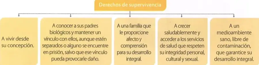 Figura 2 de Estudios Sociales 8° · 2025