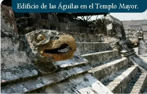 Muro de cráneos del Tzompantli.