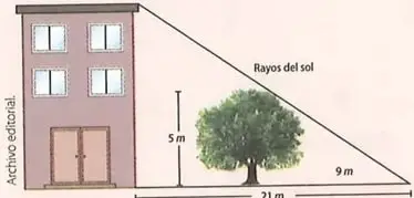 Edificio y árbol que proyectan sombras; se indican 5 m, 9 m y 21 m.