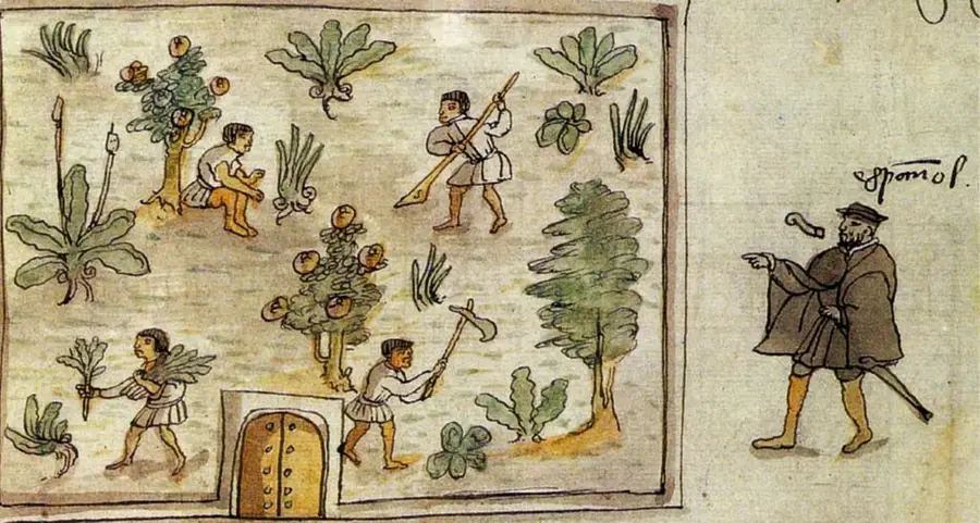 Recuadro con cuatro indígenas trabajando la tierra entre árboles frutales, magueyes y arbustos, con una puerta al centro.