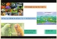 Diagrama radial con la palabra “Conservación” en el centro y varias acciones relacionadas: turismo sostenible y ecoturismo, biocomercio, disminución de la huella ecológica, campañas y foros ambientales, corredores biológicos o ecológicos, jardines botánicos y herbarios, y bancos de germoplasma e investigaciones.