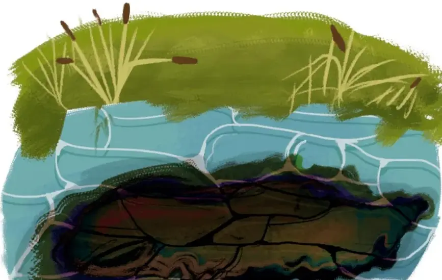 Ilustración de un cuerpo de agua con plantas acuáticas (tules) en la orilla y el fondo oscuro cubierto de residuos, que representa la contaminación del agua.