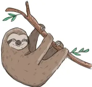 Ilustración de un perezoso colgado de una rama con hojas verdes.