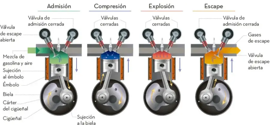 Infografía del motor de cuatro tiempos con cuatro cilindros que muestran admisión, compresión, explosión y escape, con etiquetas de válvulas, émbolo, biela, cigüeñal y cárter.