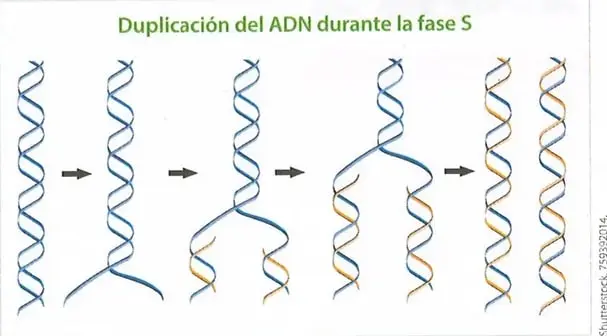 Figura 2 de Ciencias Naturales 9° · 2025