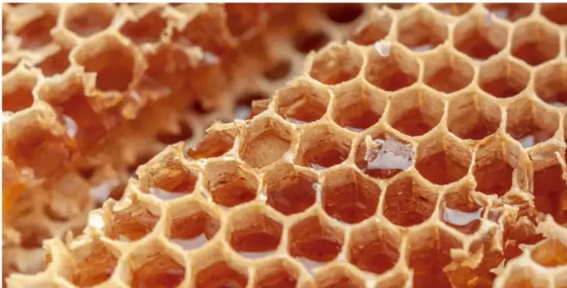 Fotografía en acercamiento (macro) de un panal de abejas: celdas hexagonales de cera color ámbar con miel brillante en su interior.