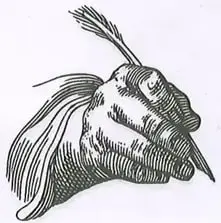 Ilustración en blanco y negro (grabado o dibujo) de un caracol o gasterópodo marino, con concha espiral y antenas visibles. Imagen decorativa ubicada en la parte inferior izquierda de la página, junto al espacio de escritura. Crédito: Pixabay.com.