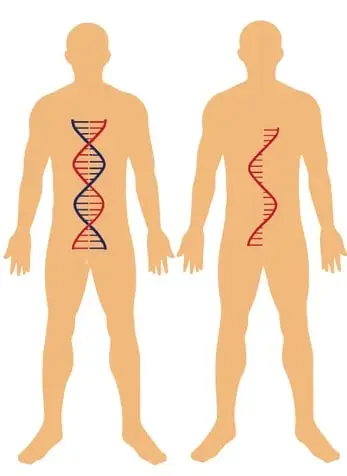 Silueta de cuerpo humano con doble hélice (ADN) y otra con hélice simple (ARN).