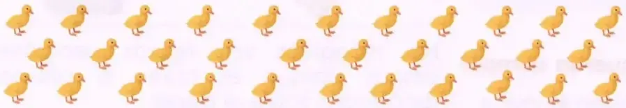 Una colección de elementos ilustrados para estimar y agrupar de 5 en 5.