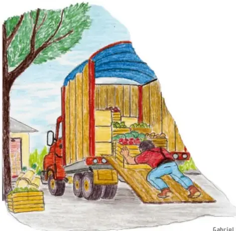 Camión con una tabla inclinada cargando frutas y verduras, personaje empujando cajas, ilustración de Gabriel Ramón García, Veracruz.