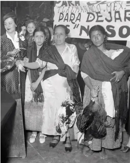 Fotografía en blanco y negro de un grupo de mujeres y niños en una manifestación. Algunas mujeres llevan rebozos y sostienen aves de corral. Detrás hay una manta con texto parcial 'PARA DEJAR' y 'NOSO'.