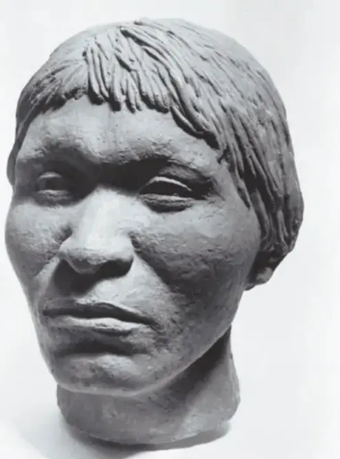 Escultura o reconstrucción facial en gris del hombre de Tepexpan, mostrando rostro y cabello de un individuo prehistórico.