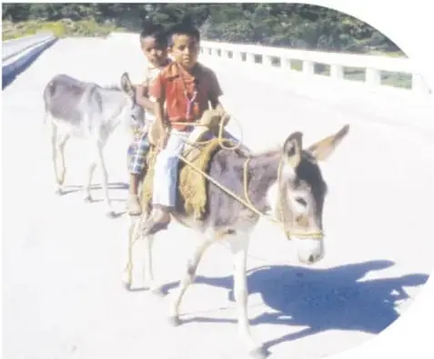 Dos niños montados en un burro o burrita por un camino pavimentado, con otro animal detrás.