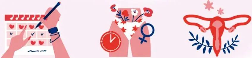 Ilustración de ropa interior, toallas sanitarias y una copa menstrual.
