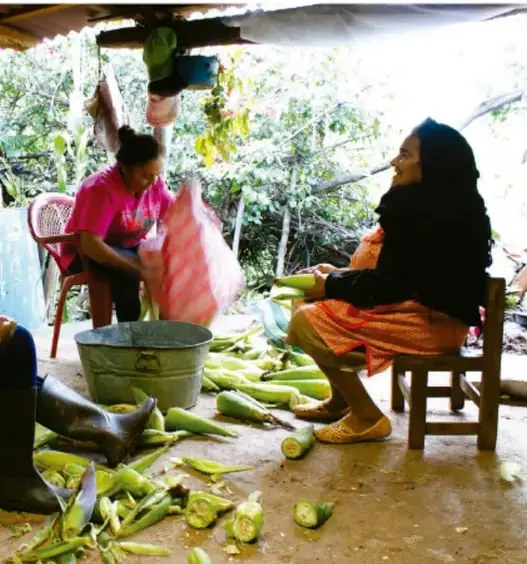 Fotografía de personas en un espacio rural pelando y preparando elote (maíz), actividad asociada a tradiciones y cultura comunitaria.