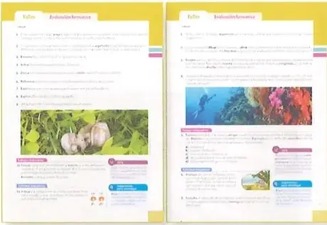 Figura 5 de Ciencias Naturales 9° · 2025