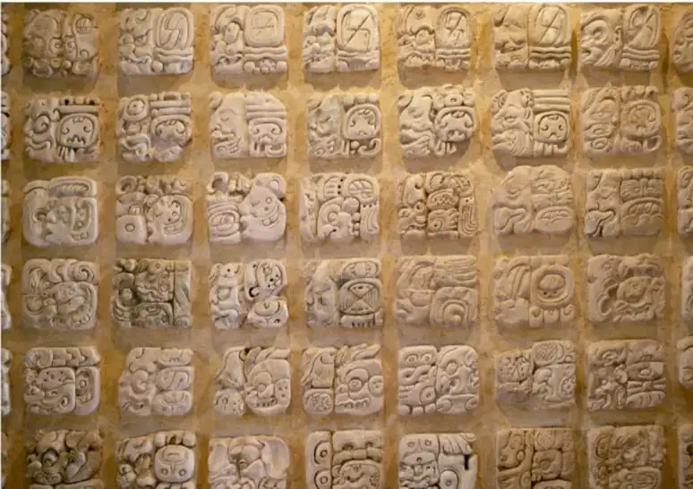 Fotografía de un relieve con múltiples glifos mayas tallados en piedra, organizados en cuadrícula, que ilustra la escritura glífica de las culturas prehispánicas.