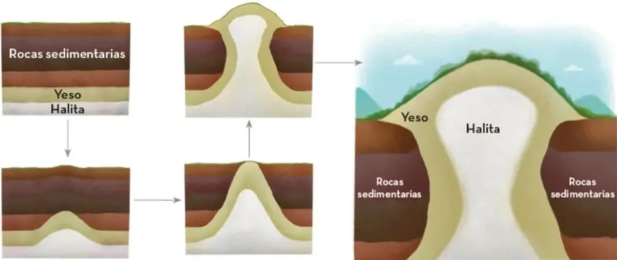 Secuencia de cuatro recuadros que muestra el ascenso de yeso y halita a través de rocas sedimentarias hasta formar un domo en superficie.