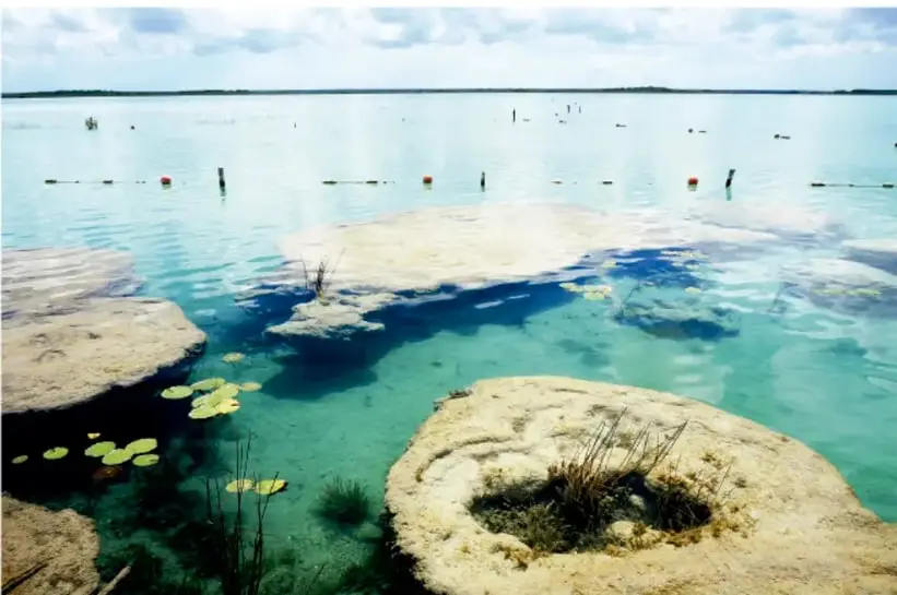 Fotografía de un cuerpo de agua cristalina con rocas grandes, plantas acuáticas y pequeñas boyas flotantes, bajo un cielo con nubes.