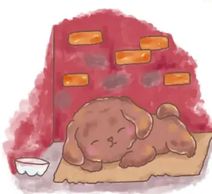 Ilustración de un perrito dormido sobre un cartón junto a un tazón, frente a una pared roja con grietas; ilustración de Cristy Ailed Reyes Espinosa, Zacatecas.