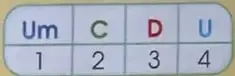 Tabla de valor posicional con las columnas Um, C, D y U.