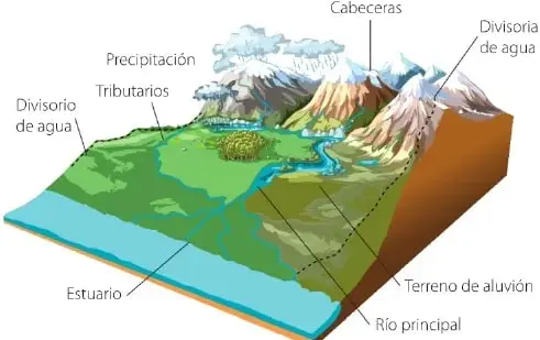 Recuadro de competencia digital que invita a visitar un enlace y explicar la relación entre el ciclo del agua y la cuenca hidrográfica.