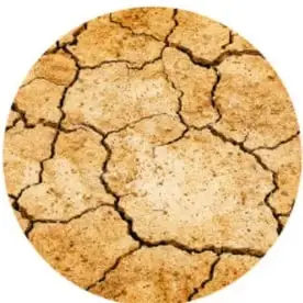 Fotografía circular de tierra seca agrietada.