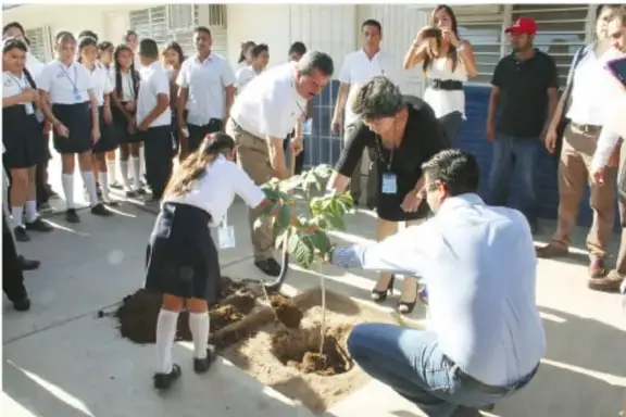 Fotografía de una comunidad escolar al aire libre: estudiantes con uniforme, docentes y adultos observan cómo una niña y un adulto plantan un árbol pequeño en la tierra.