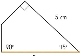 Trapecio rectángulo con base de 5 cm, lado de 5 cm, ángulos de 90° y 45°.