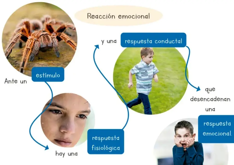 Figura 1 de Nuestros saberes: Libro para alumnos, maestros y familia. Libro de Educación Primaria Grado 3° Ciclo Escolar 2025 - 2026