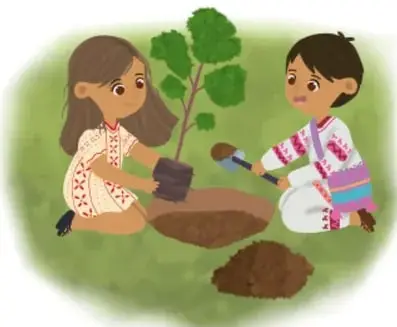 Dos estudiantes, una niña y un niño, plantan un árbol pequeño en la tierra.