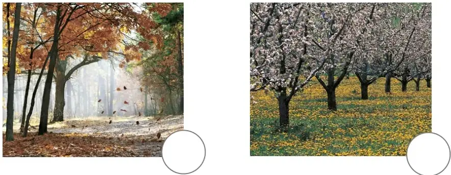 Dos personas cuidando un jardín con flores moradas y rojas; una usa guantes y la otra sostiene una regadera verde.