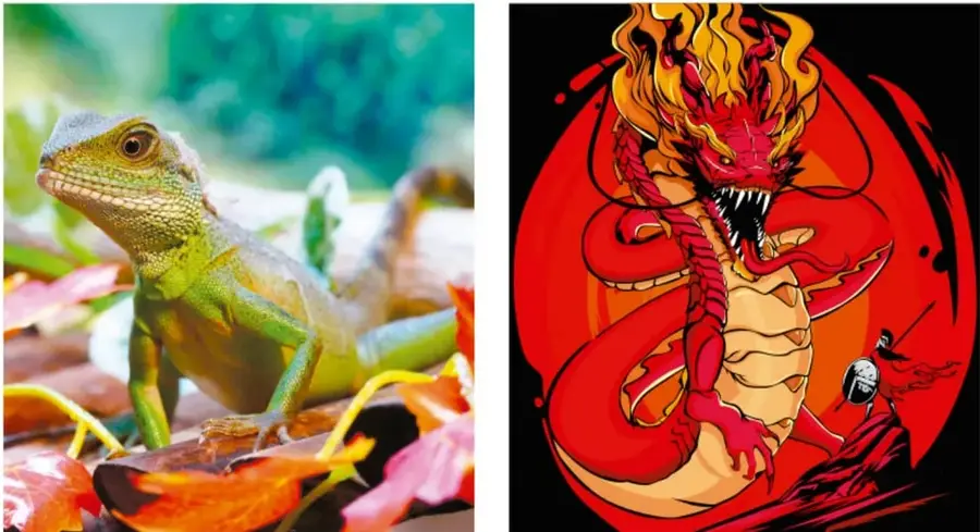 Fotografía de un lagarto verde sobre hojas: representa lo real.