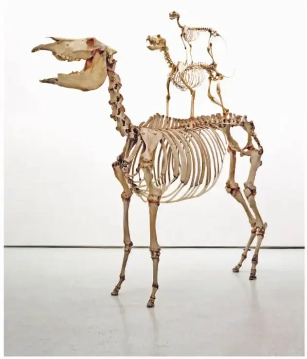 Fotografía de la instalación Love lasts forever: esqueletos de un burro, un perro y un gato montados en equilibrio sobre una superficie clara.