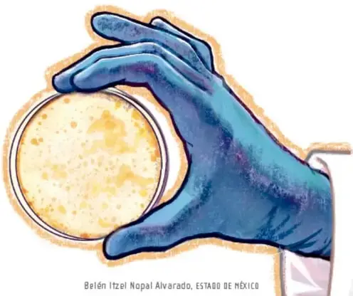 Mano con guante azul de laboratorio sosteniendo una caja de Petri con cultivo de microorganismos. Ilustración de Belén Itzel Nopal Alvarado, Estado de México.