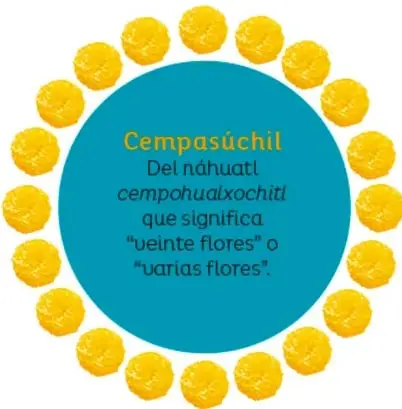 Círculo turquesa rodeado de flores amarillas de cempasúchil, con la leyenda: cempasúchil, del náhuatl cempohualxochitl, que significa "veinte flores" o "varias flores".