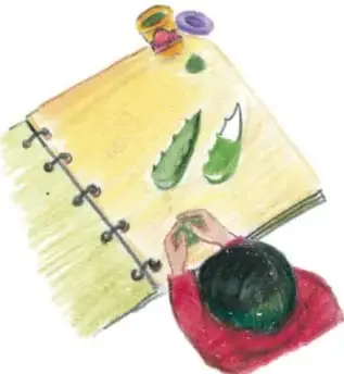 Ilustración de un herbario abierto con plantas prensadas y grapas en el lomo; crédito a Ana Cecilia Gaytán Ortiz, Guanajuato.