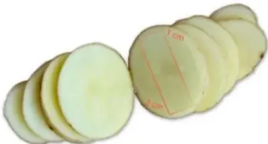 Rodajas de papa cortadas con medidas de 1 cm y 3 cm indicadas con líneas rojas.