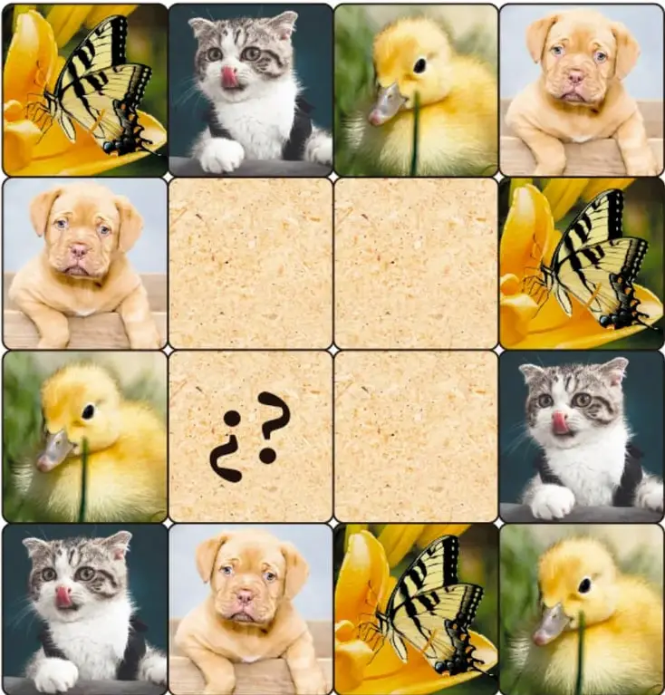 Cuadrícula 4x4 con fotografías de una mariposa, un gato, un pato y un perro. Algunas casillas están vacías y una tiene signos de interrogación.