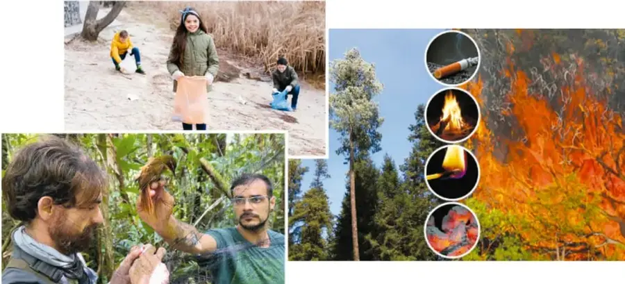 Tres jóvenes recogen basura en un entorno natural.