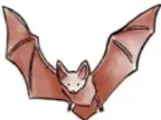 Ilustración de un murciélago de color marrón con alas extendidas.