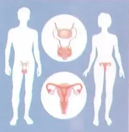Figura 3 de Ciencias Naturales 8° · Egb 8 Ciencias Naturales 2025 · 2025