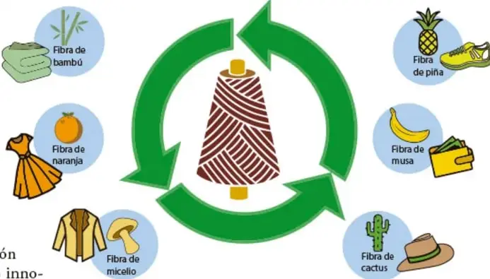 Infografía circular 'Fibras y textiles sustentables' con flechas verdes de reciclaje alrededor de un carretel de hilo, rodeada de seis fibras: bambú, piña, naranja, musa, micelio y cactus.