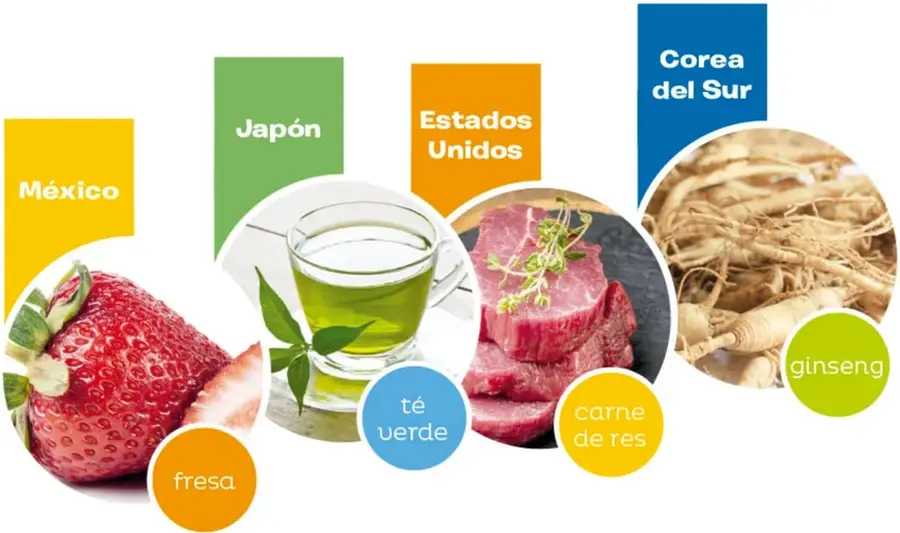 Infografía con cuatro banderas de color: México (fresa), Japón (té verde), Estados Unidos (carne de res) y Corea del Sur (ginseng), cada una con fotografía circular del sabor.