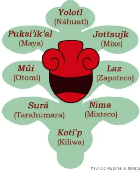 Ilustración titulada "La diversidad del corazón": una flor con pétalos verdes donde se escribe la palabra "corazón" en ocho lenguas indígenas de México (Yolotl/Náhuatl, Puksi'ik'al/Maya, Jottsjk/Mixe, Mūi/Omï, Laz/Zapoteco, Surá/Tarahumara, Nima/Mixteco, Koti'p/Kiliwa), con un rostro central rojo. Crédito: Mauricio Reyes Valle, Morelos.