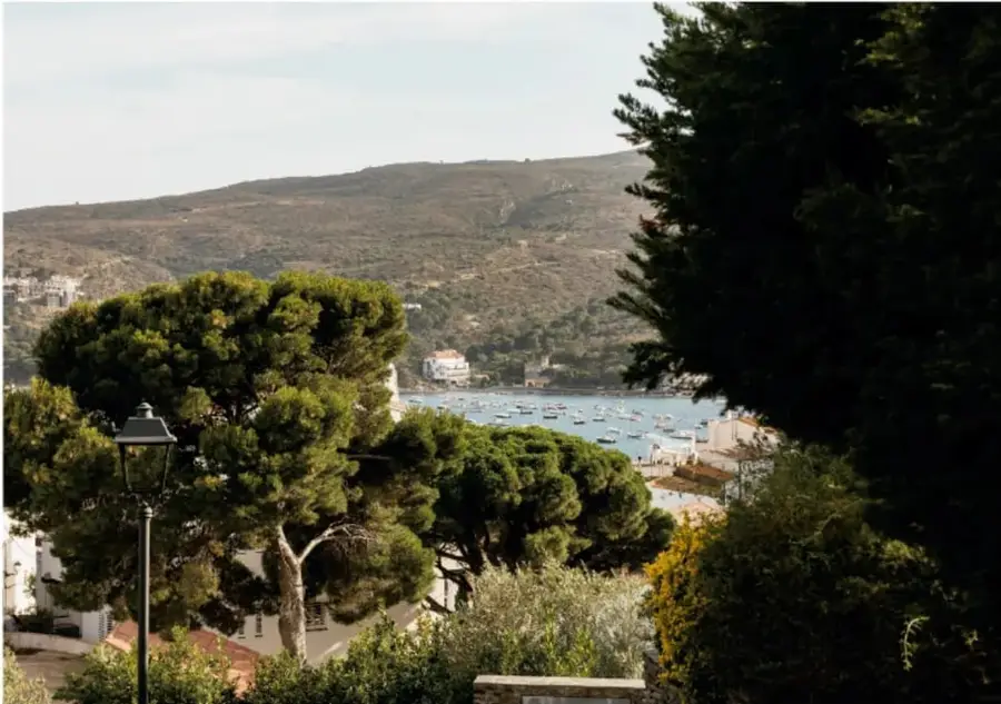 Fotografía de un paisaje costero con pinos en primer plano, una bahía con barcos y colinas al fondo, que ilustra el territorio y el ecosistema de una comunidad.