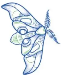 Dibujo lineal azul de un insecto alado (parecido a una mariposa o polilla) con las alas desplegadas.