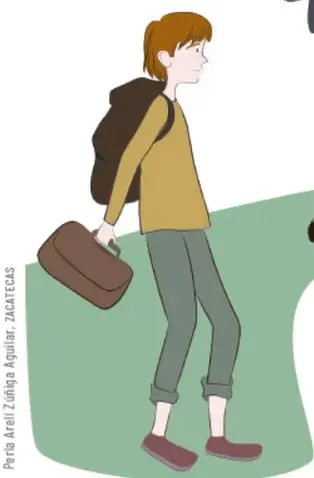 Figura 3 de Proyectos de Aula. Libro de Educación Primaria Grado 5° Ciclo Escolar 2025 - 2026