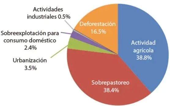 Gráfica circular titulada 'Factores que causan la degradación del suelo (%)' con seis segmentos de colores que representan los porcentajes de cada factor.
