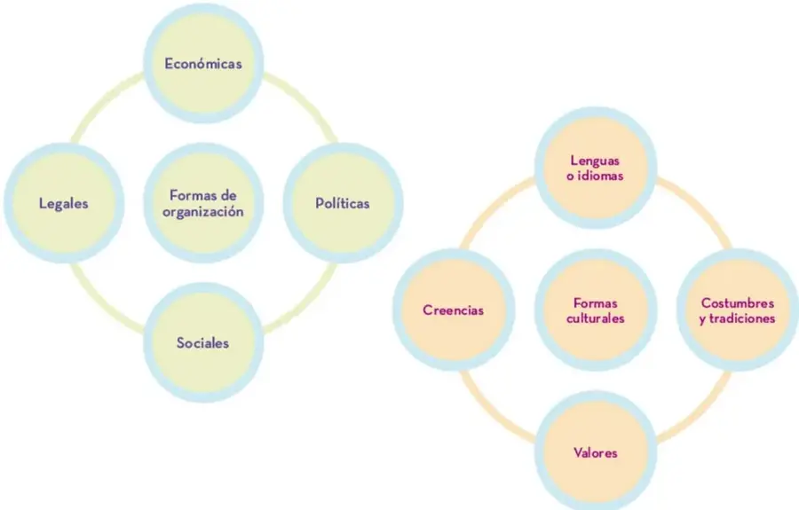 Organizador gráfico con dos anillos entrelazados: uno con nodo central 'Formas de organización' (satélites: Económicas, Legales, Políticas, Sociales) y otro con nodo central 'Formas culturales' (satélites: Lenguas o idiomas, Creencias, Costumbres y tradiciones, Valores).